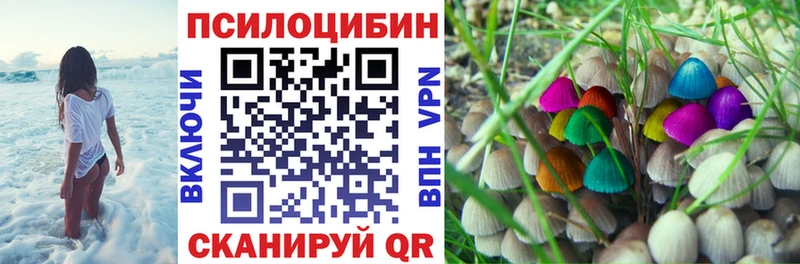 Галлюциногенные грибы Cubensis  Купить где  Арамиль 